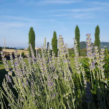 Casa I Cipressi *